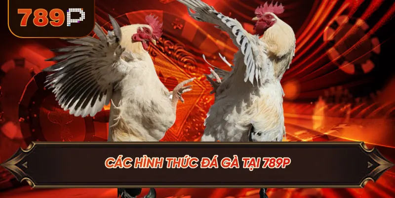 Các Hình Thức Đá Gà Tại 789P