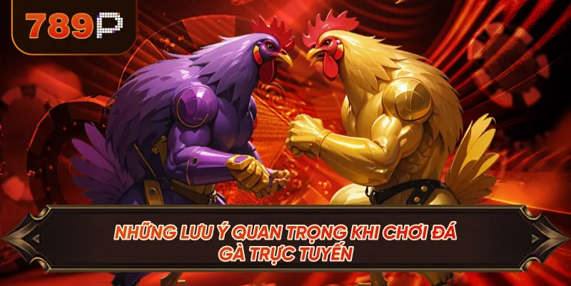 Những Lưu Ý Quan Trọng Khi Chơi Đá Gà Trực Tuyến