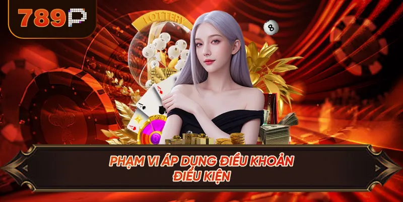 Phạm Vi Áp Dụng Điều Khoản Điều Kiện