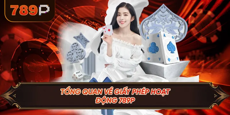 Tổng Quan Về Giấy Phép Hoạt Động 789P