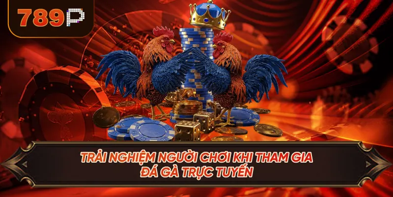 Trải Nghiệm Người Chơi Khi Tham Gia Đá Gà