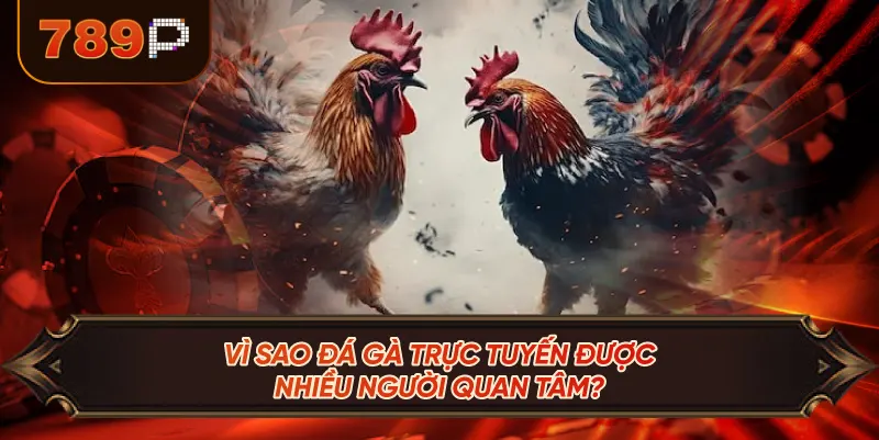 Vì Sao Đá Gà Trực Tuyến Được Nhiều Người Quan Tâm?